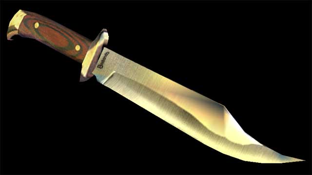 Bowie Knife